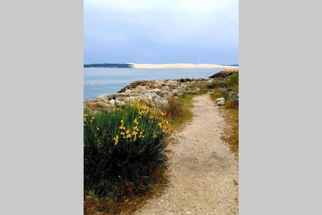 Colibri Appart' T2 Au Coeur Du Bassin D'Arcachon Gujan-Mestras Εξωτερικό φωτογραφία