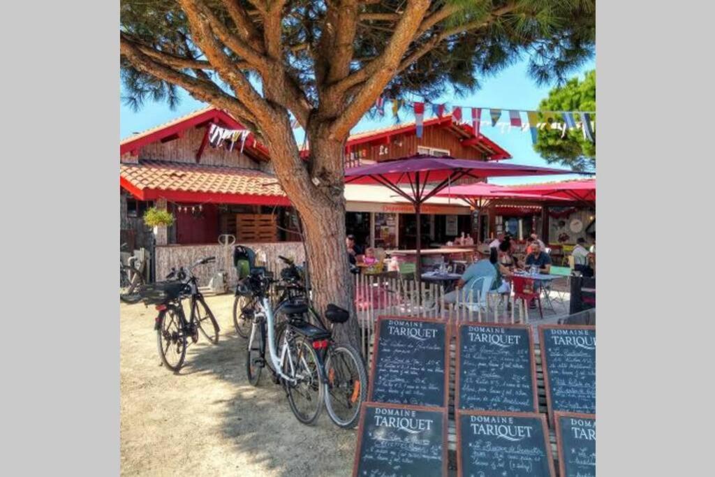 Colibri Appart' T2 Au Coeur Du Bassin D'Arcachon Gujan-Mestras Εξωτερικό φωτογραφία